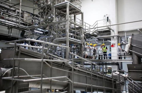 寵物市場“內卷”加劇，這家天津軟件企業亮相亞寵展的破局之道